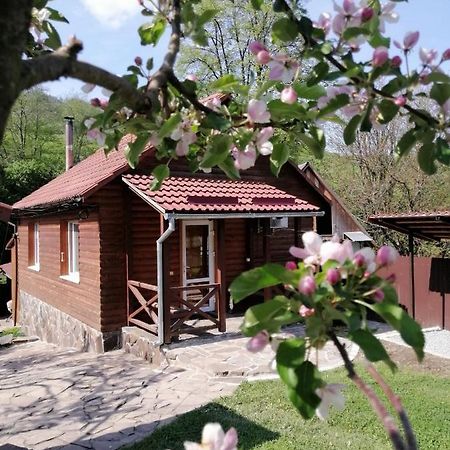 Зачаровані Карпати, Воловець Exteriör bild