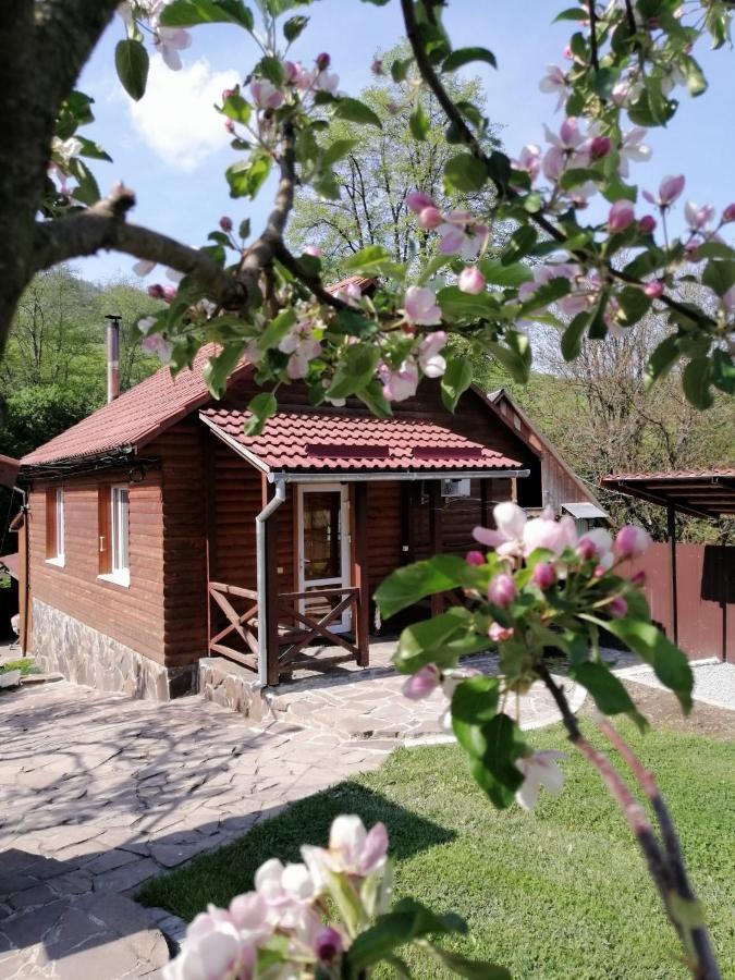 Зачаровані Карпати, Воловець Exteriör bild